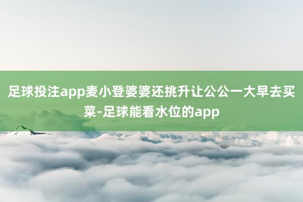 足球投注app麦小登婆婆还挑升让公公一大早去买菜-足球能看水位的app