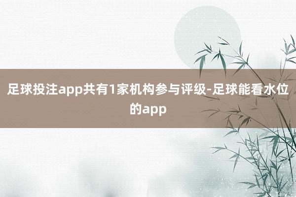 足球投注app共有1家机构参与评级-足球能看水位的app