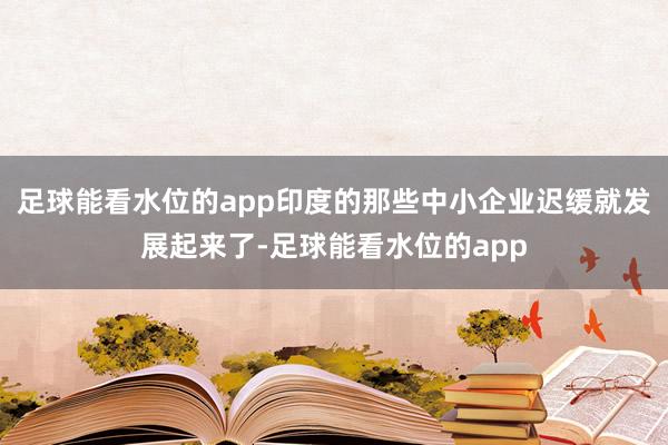 足球能看水位的app印度的那些中小企业迟缓就发展起来了-足球能看水位的app