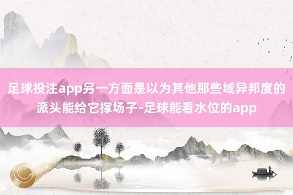 足球投注app另一方面是以为其他那些域异邦度的派头能给它撑场子-足球能看水位的app