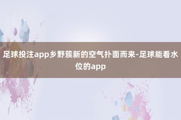 足球投注app乡野簇新的空气扑面而来-足球能看水位的app