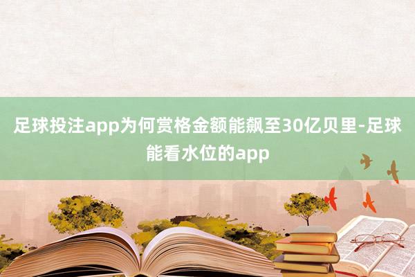 足球投注app为何赏格金额能飙至30亿贝里-足球能看水位的app