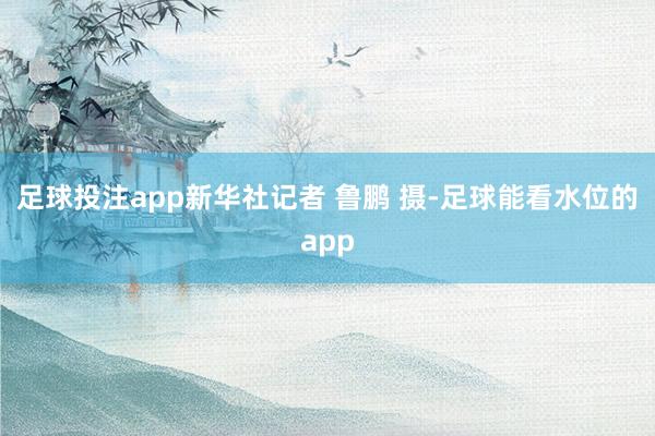 足球投注app新华社记者 鲁鹏 摄-足球能看水位的app