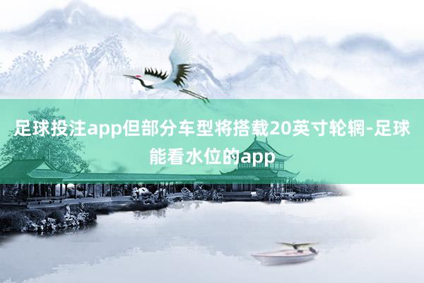 足球投注app但部分车型将搭载20英寸轮辋-足球能看水位的app