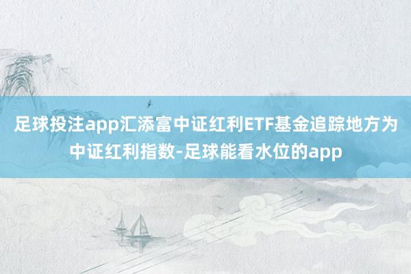 足球投注app汇添富中证红利ETF基金追踪地方为中证红利指数-足球能看水位的app