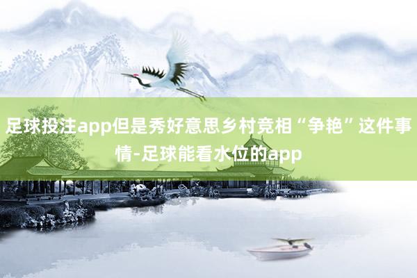 足球投注app但是秀好意思乡村竞相“争艳”这件事情-足球能看水位的app