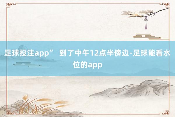 足球投注app”  到了中午12点半傍边-足球能看水位的app