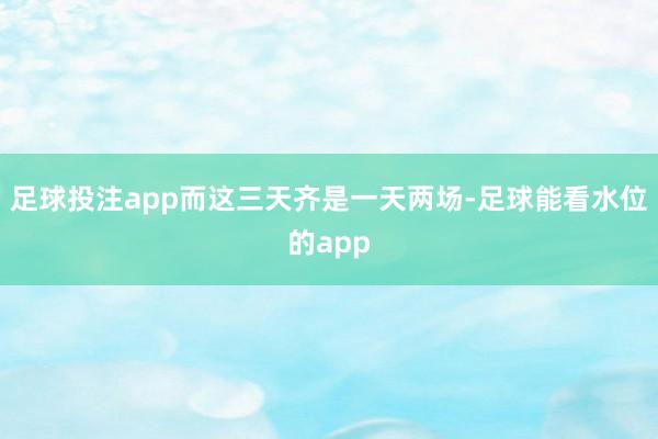 足球投注app而这三天齐是一天两场-足球能看水位的app