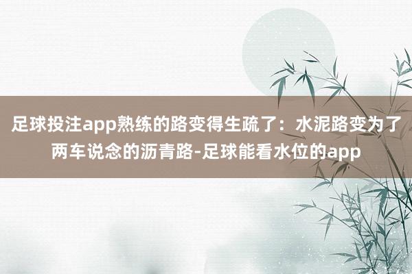 足球投注app熟练的路变得生疏了：水泥路变为了两车说念的沥青路-足球能看水位的app