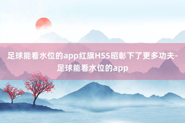 足球能看水位的app红旗HS5昭彰下了更多功夫-足球能看水位的app