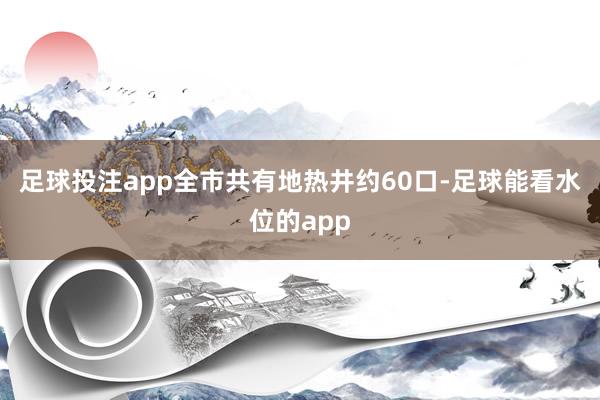 足球投注app全市共有地热井约60口-足球能看水位的app