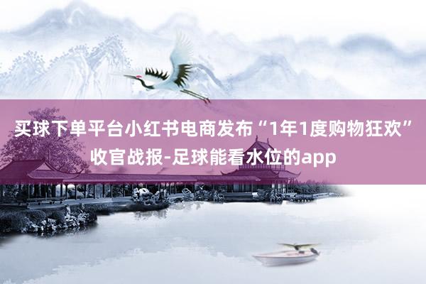 买球下单平台小红书电商发布“1年1度购物狂欢”收官战报-足球能看水位的app