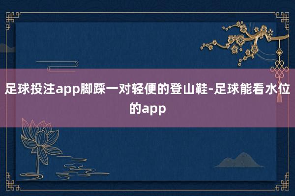 足球投注app脚踩一对轻便的登山鞋-足球能看水位的app