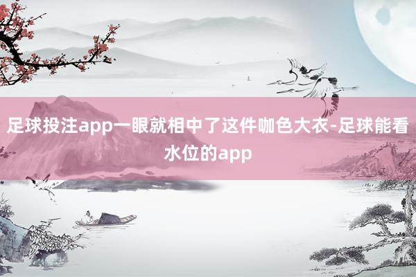 足球投注app一眼就相中了这件咖色大衣-足球能看水位的app