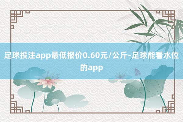 足球投注app最低报价0.60元/公斤-足球能看水位的app